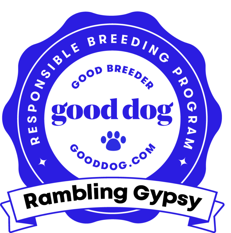 Lindsey Fandrup Golden Retriever Breeding Horse Lessons & Training